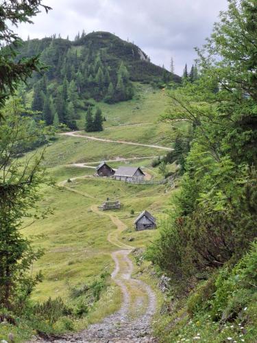  Haus Bergblick am Grünen See in Oberort