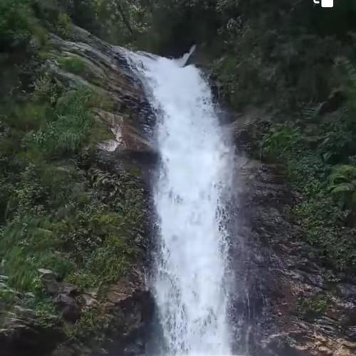 Krishan Home Stay in Chippni