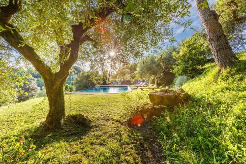 Villa with Private Pool image 5