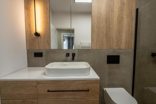 Deluxe One-Bedroom Apartment with City View