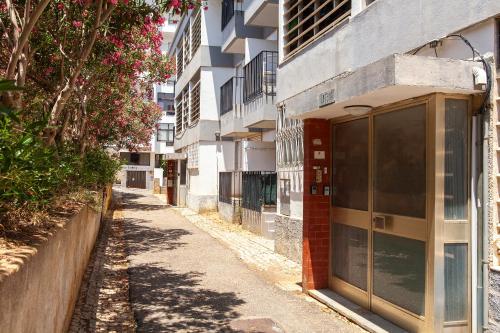Trindade Sun Guesthouse 1