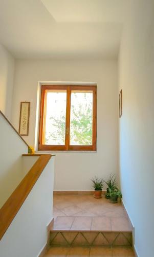 Macondo in Montano Antilia