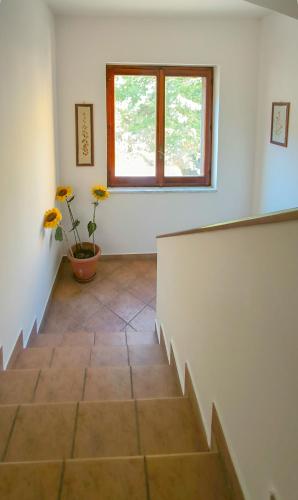 Macondo in Montano Antilia