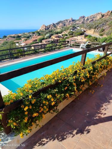 Petra Villas - Grecale in Costa Paradiso