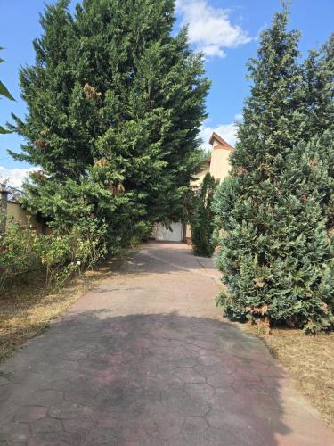 Vila Raisa in Şoarş