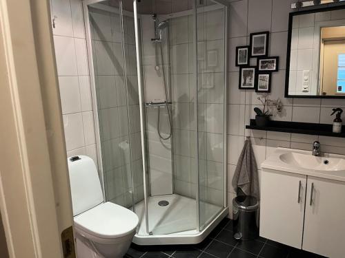 Central apartment in Lund in Lund