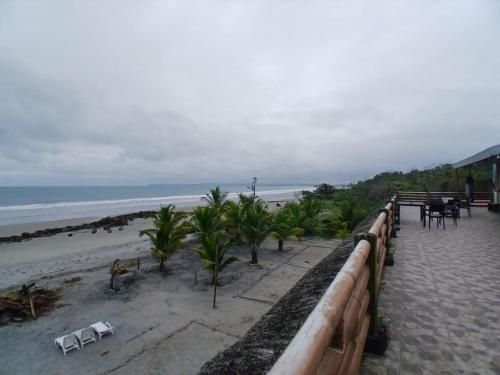Manglar escondido in Mompiche
