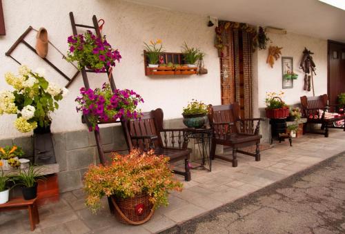 B&B San Giusto Canavese - B&B La Gerbolina - Bed and Breakfast San Giusto Canavese