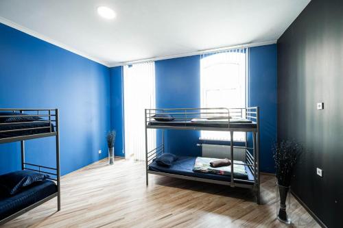 Hedgehogs backpackers hostel in Riga City Center