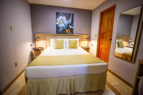 Deluxe Double Room room in Hotel Los Altos Express 