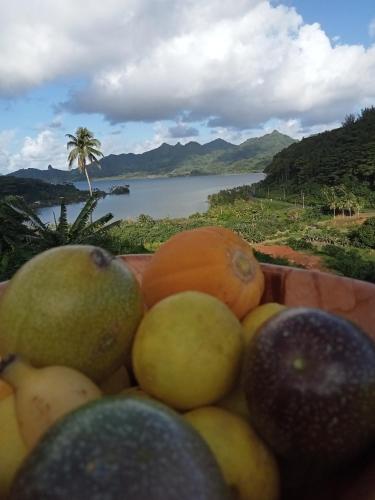 Bungalow Belle Vue in Illa Huahine