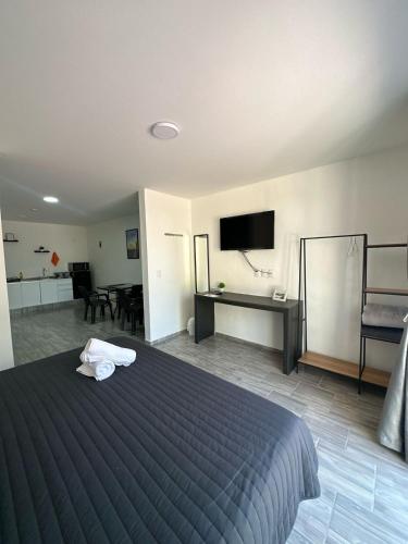 Jubilee Lofts by Quinta las Fuentes Peña de Bernal in Bernal, Mexico