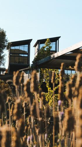 Origen75 Loft - Villas - Skypool - Viñedo, Valle de Guadalupe