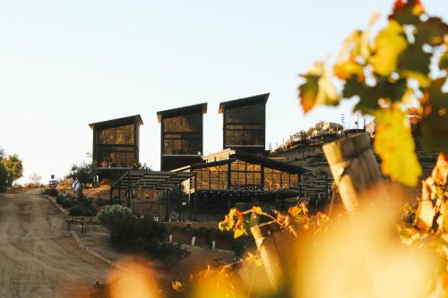 Origen75 Loft - Villas - Skypool - Viñedo, Valle de Guadalupe