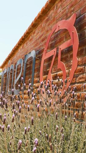 Origen75 Loft - Villas - Skypool - Viñedo, Valle de Guadalupe