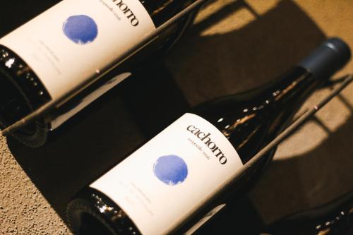 Origen75 Loft - Villas - Skypool - Viñedo, Valle de Guadalupe