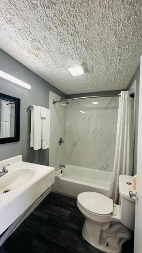 Catalina Airport Motel - image 12
