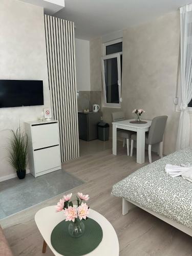 One-Bedroom Apartment image 5