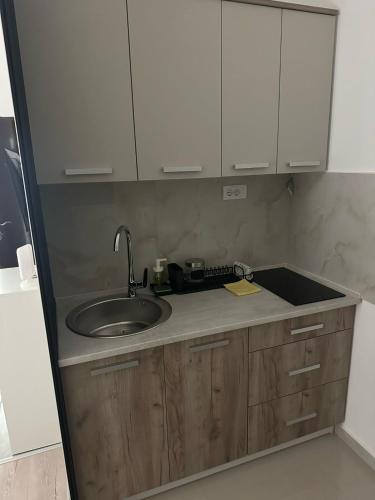 One-Bedroom Apartment image 1