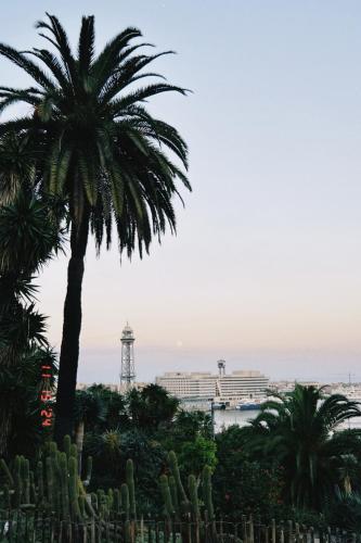 The dream house of Barcelona in Aravaca