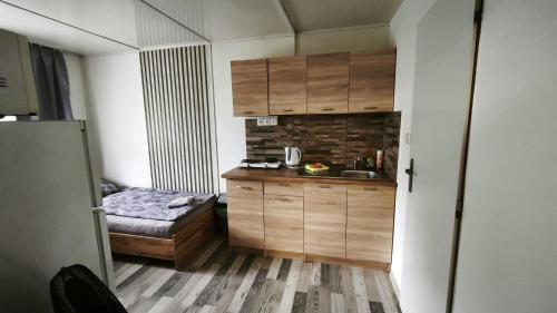 Areál Pauli (Areal Pauli) in เชสกา สกาลิซ