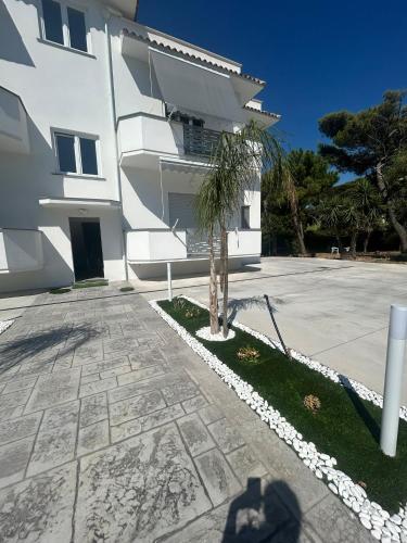 MeMa', Scauri (photo 7)