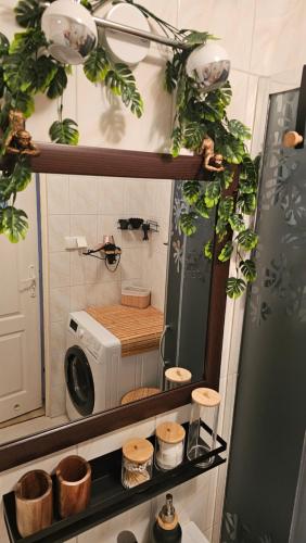 Apartament SAFARI