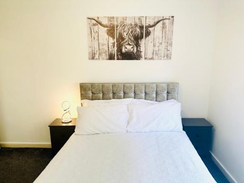 Cozy Room in Glasgow West End in North Glasgow