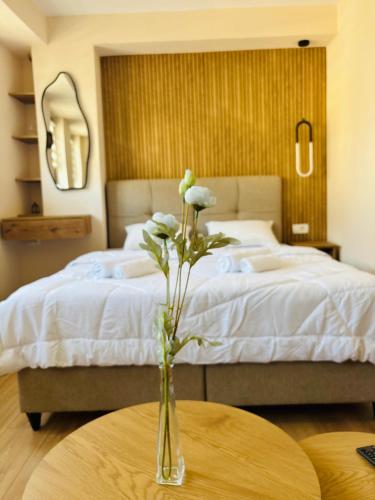 Deluxe Double or Twin Room with City View