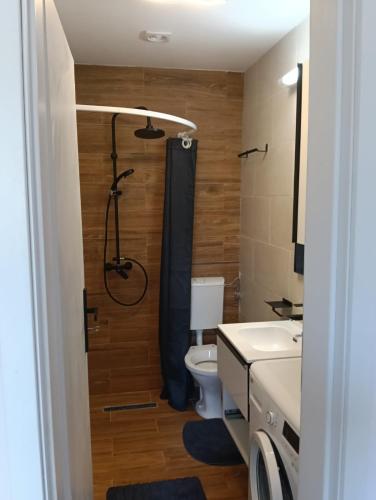 Spital 1 camera in 特尔古穆列什