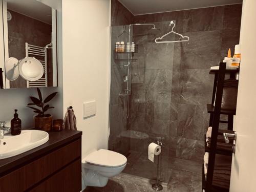 Modern flat in Kópavogur - 10 min from Reykjavik, Kerlingarfjoll (foto 5)