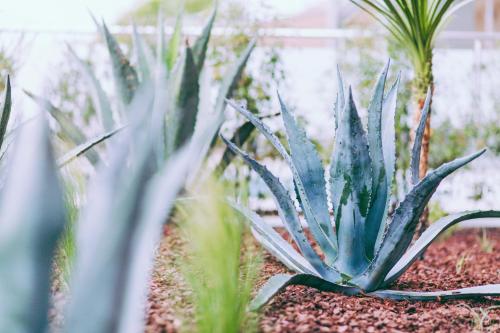 Hôtel & Spa Villa Seren - image 4