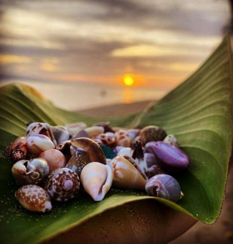 Villa Victoria Bosques de OLON in Olon