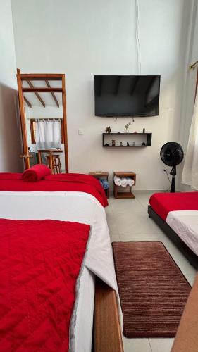 1 double bed, 2 sofa beds