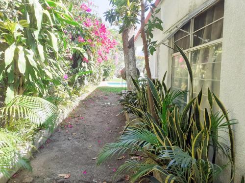 حديقة, Brisas Verdes. Increíble espacio con alberca climatizada (Brisas Verdes. Increible espacio con alberca climatizada) in Tres de Mayo