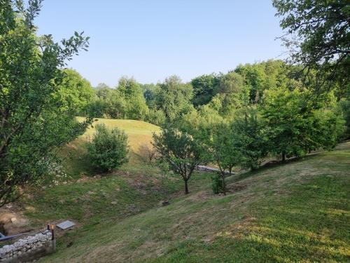 House Retreat in Korbeni