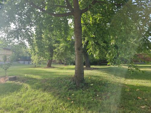 House Retreat in Korbeni