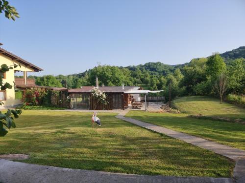 House Retreat in Korbeni