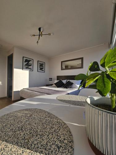 Acogedor Departamento Estudio in Concepción