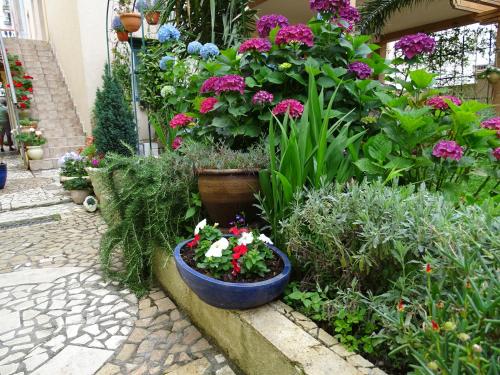 Apartament - Lisa