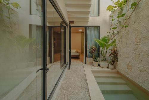 Unforgetable outing with private pool, Tulum
