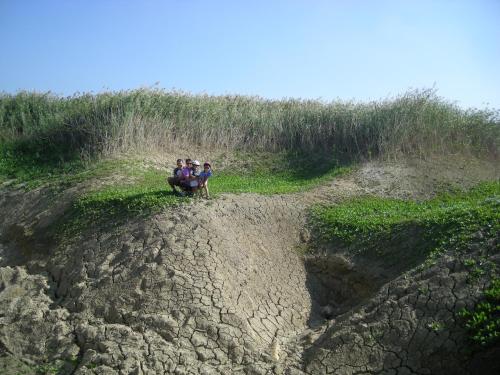 Turistična Kmetija Logar - image 4