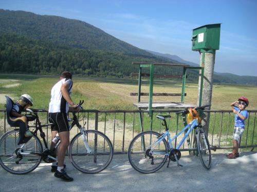 Turistična Kmetija Logar - image 14