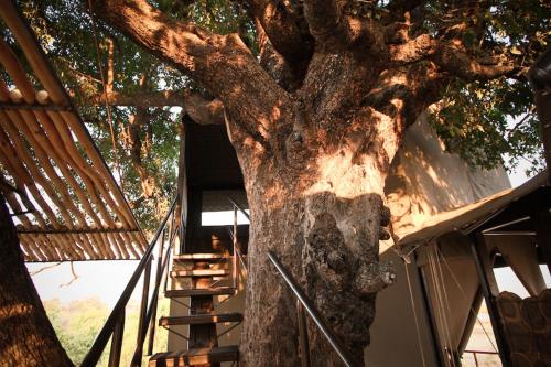 Jackalberry Tented Camp Jackalberry Tented Camp is a popular choice amongst travelers in Sangwali, whether exploring or just passing through. The property offers a wide range of amenities and perks to ensure you have a great