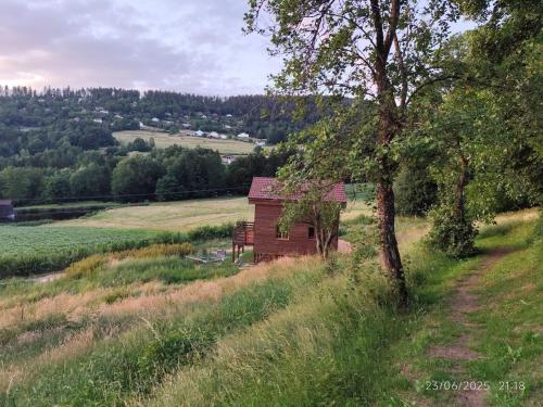 La cabane de Célestin (La cabane de Celestin) in Basse Sur Le Rupt