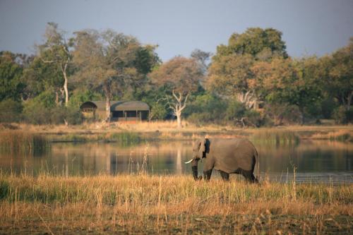 Jackalberry Tented Camp