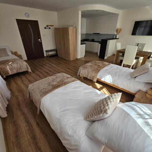 Apartamenty Tadeusza Kościuszki 1 Jaspis