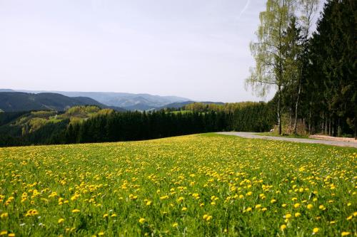 Hotels Image