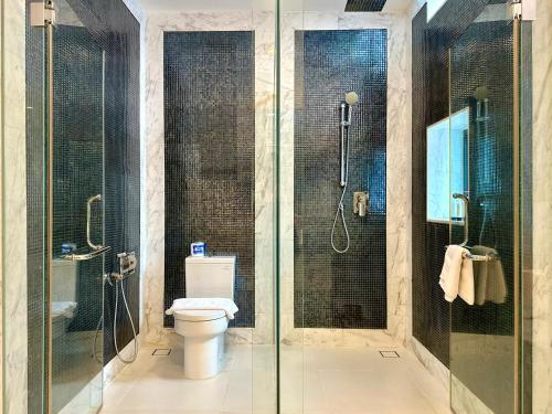 Premium Villa image 3