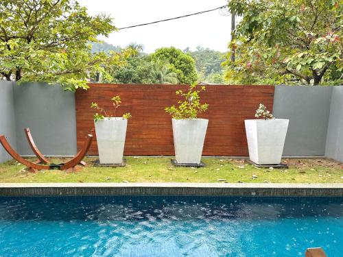 Premium Villa image 8